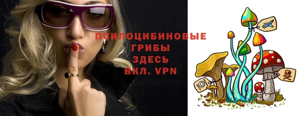 хмурый Алексин