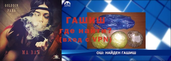 хмурый Алексин