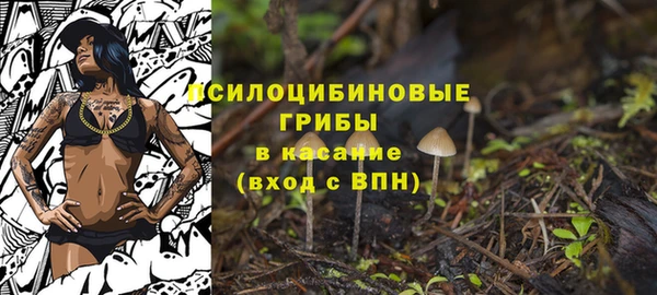 хмурый Алексин