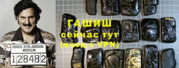 хмурый Алексин