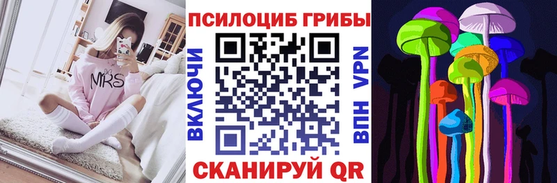 магазин продажи наркотиков  Козловка  Псилоцибиновые грибы мицелий 
